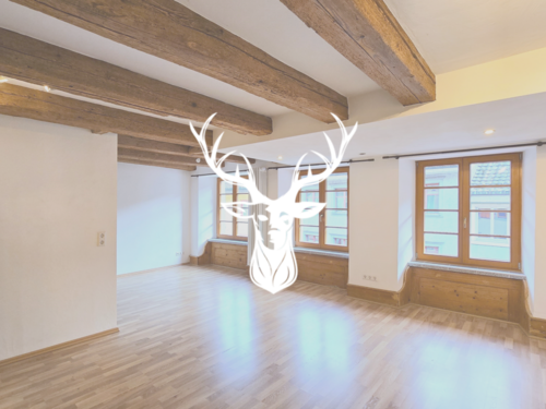 Foto - Wohnung zum Kaufen in Waldshut-Tiengen 159.000,00 € 45.8 m²