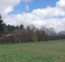 Grundstück zu verkaufen in Gem. BriesenOT Biegen 49.000,00 € 545 m² - Gem. Briesen/OT Biegen