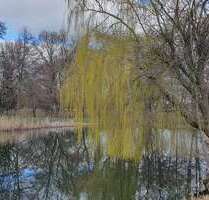Grundstück zu verkaufen in Gem. BriesenOT Biegen 63.000,00 € 545 m² - Gem. Briesen/OT Biegen