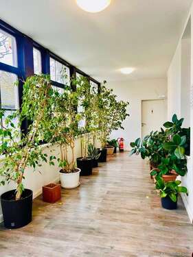 Foto - Büro in Groß-Gerau 850.000,00 € 338 m²