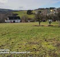 Grundstück zu verkaufen in Schönberg 49.002,55 € 983 m²