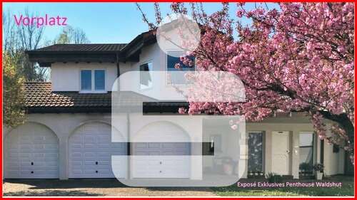 Foto - Wohnung zum Kaufen in Waldshut-Tiengen 995.000,00 € 288 m²