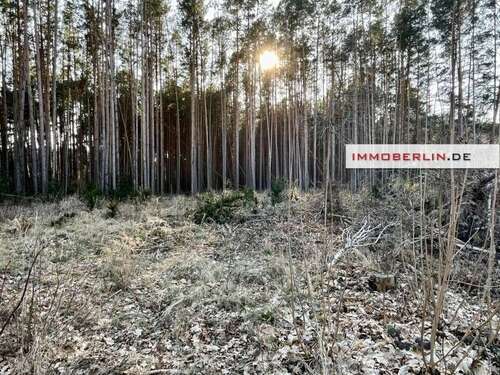 Foto - Grundstück zu verkaufen in Storkow 150.000,00 € 856 m²