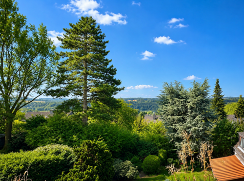 Foto - Wohnung zum Kaufen in Essen 220.000,00 € 75 m²