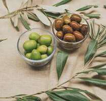 Gastronomie in Berlin 8.398,43 € 511 m²