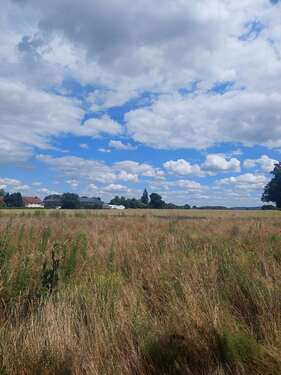 Foto - Grundstück zu verkaufen in Hille 139.200,00 € 960 m²