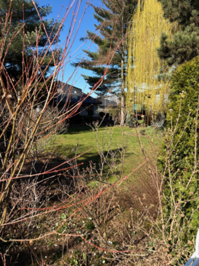 Foto - Grundstück zu verkaufen in Leipzig 210.000,00 € 450 m²