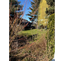 Grundstück zu verkaufen in Leipzig 210.000,00 € 450 m²