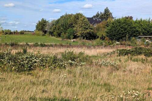 Foto - Grundstück zu verkaufen in Schwerin-Wickendorf 139.500,00 € 480 m²