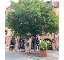 Wohnen auf Zeit in Nürnberg 970,00 €