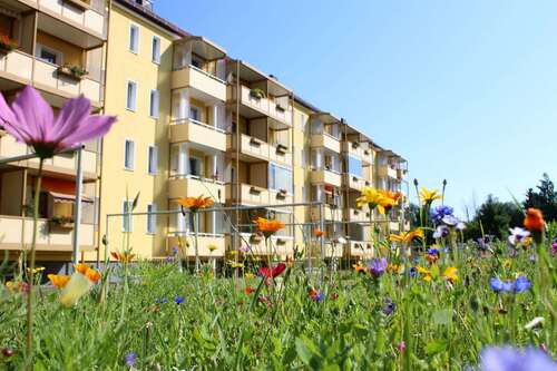 Foto - Wohnung zum Mieten in Reichenbach 210,00 € 42 m²