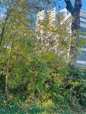 Foto - Wohnung zum Kaufen in Bad Homburg 310.000,00 € 88 m²