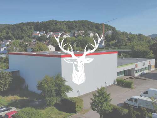 Foto - Halle in Waldshut Tiengen 4.800,00 € 905 m²