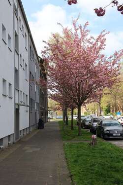 Foto - Wohnung zum Mieten in Herne 442,20 € 66 m²
