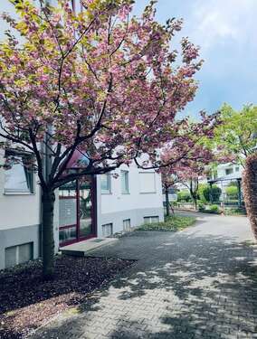 Foto - Wohnung zum Mieten in Augsburg 1.000,00 € 52.4 m²