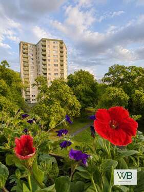 Foto - Wohnung zum Kaufen in Wolfsburg Alt Wolfsburg 120.000,00 € 62 m²