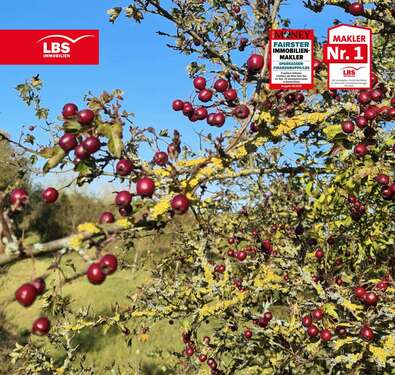 Foto - Grundstück zu verkaufen in Berlin 207.000,00 € 470 m²