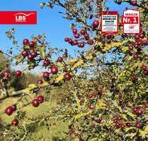 Grundstück zu verkaufen in Berlin 207.000,00 € 470 m²