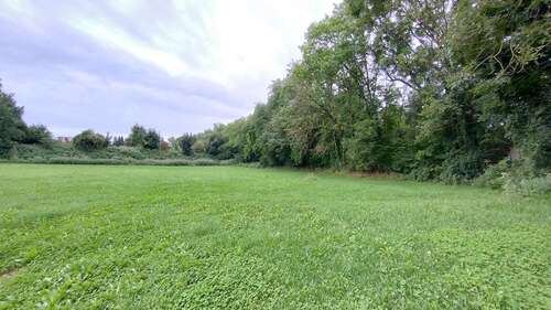 Foto - Grundstück in Reithofen 119.000,00 € 6528 m²