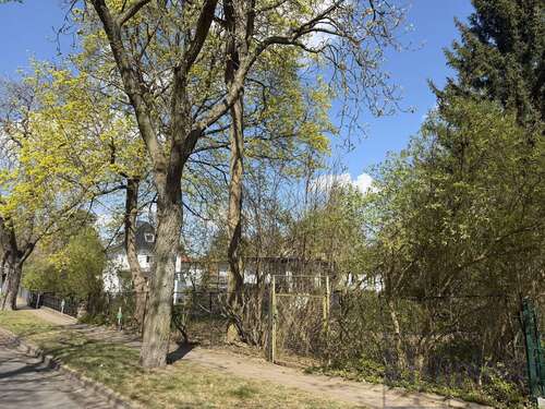 Foto - Grundstück zu verkaufen in Berlin 340.000,00 € 726 m²