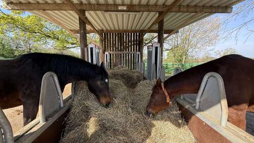 Foto - Haus zum Kaufen in Hamm 1.495.000,00 € 200 m²