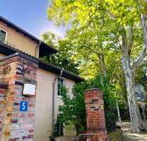 Wohnung zum Mieten in Halle (Saale) 430,00 € 49 m²