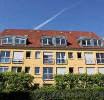 Wohnung zum Mieten in Dresden 450,00 € 50.1 m²