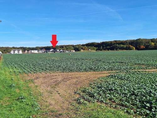 Foto - Haus zum Kaufen in Greifswald 798.000,00 € 189.62 m²