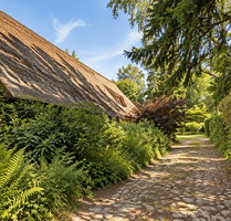 Haus zum Kaufen in Tangstedt 950.000,00 € 291 m²