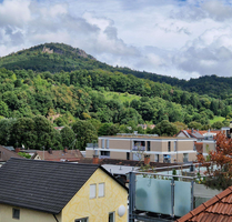 Wohnung zum Mieten in Baden-Baden 700,00 € 53 m²