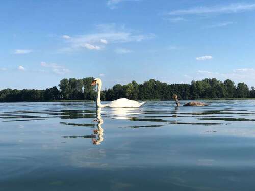 Foto - Grundstück zu verkaufen in Wandlitz 1.950.000,00 € 2761 m²