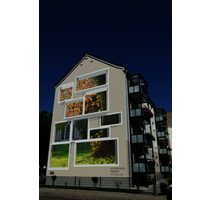 Wohnung zum Mieten in Dessau-Roßlau 505,00 € 71.15 m²