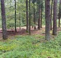Grundstück in Kelheim Herrnsaal 47.000,00 € 5200 m² - Kelheim / Herrnsaal