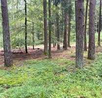 Grundstück in Kelheim Herrnsaal 47.000,00 € 5200 m² - Kelheim / Herrnsaal