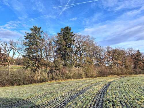 Foto - Spezialgewerbe in DrößlingUnering 76.000,00 € 13831 m²