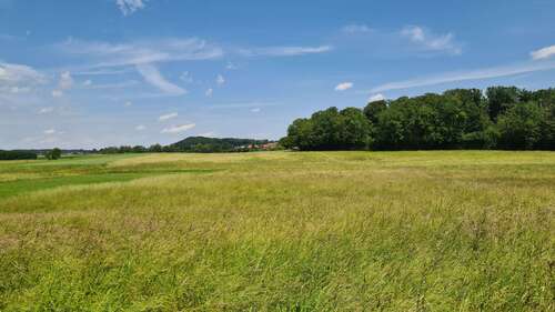 Foto - Grundstück zu verkaufen in Wörthsee 159.000,00 € 15340 m²