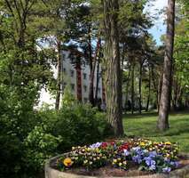 Foto - Wohnung zum Mieten in Niedergörsdorf OT Altes Lager 385,00 € 61.5 m²