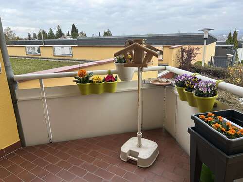 Foto - Wohnung zum Kaufen in Zwickau 150.000,00 € 154 m²