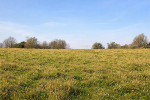 Foto - Grundstück zu verkaufen in Laage 149.900,00 € 1820 m²