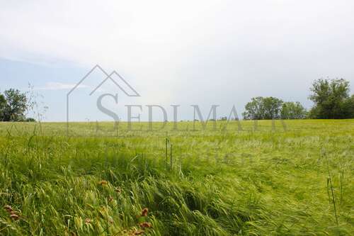 Foto - Haus zum Kaufen in Seefeld 1.430.000,00 € 245 m²