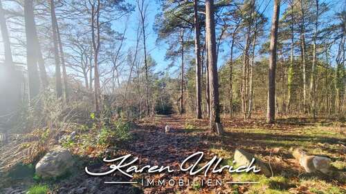 Foto - Grundstück zu verkaufen in Seevetal 299.000,00 € 2377 m²