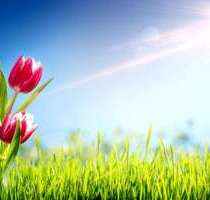 Grundstück zu verkaufen in Freyung 349.000,00 € 7700 m²