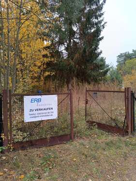 Foto - Grundstück zu verkaufen in Königs Wusterhausen OT Zeesen 373.000,00 € 1061 m²