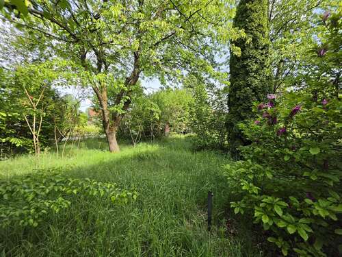 Foto - Grundstück zu verkaufen in Ilmmünster 199.000,00 € 253 m²