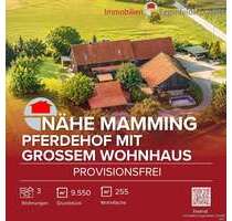 Haus zum Kaufen in Mamming 799.000,00 € 255 m²