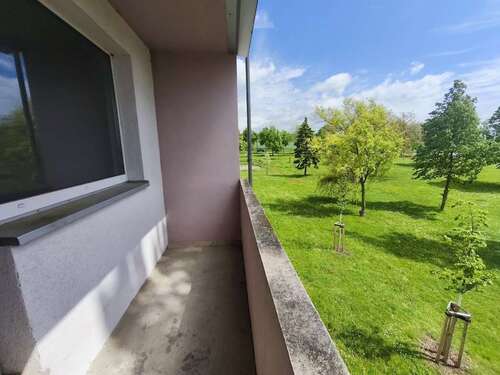 Foto - Wohnung zum Mieten in Sangerhausen 324,00 € 50.51 m²