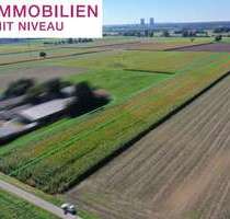 Grundstück in Lauingen 80.190,00 € 8910 m²