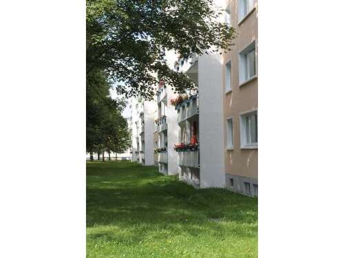Foto - Wohnung zum Mieten in Chemnitz 338,38 € 48.34 m²