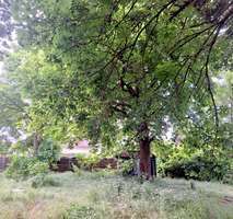 Foto - Grundstück zu verkaufen in Berlin 860.000,00 € 1334 m²