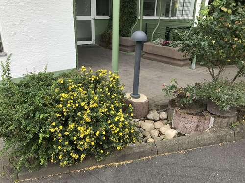 Foto - Wohnung zum Kaufen in Niedernhausen 219.000,00 € 92 m²